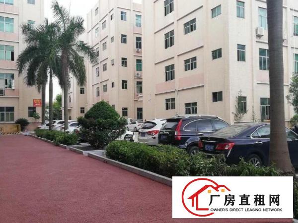  高实用率原业主厂房一楼物流仓库楼上办公100到1500平可分