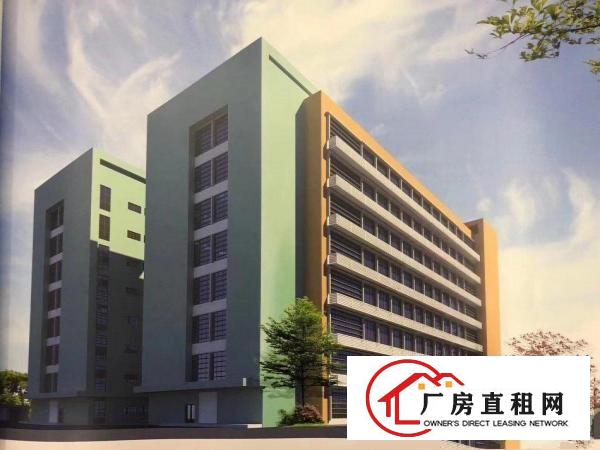  坂田电商产业园精装修办公厂房招租，100平起分面积可自由组合