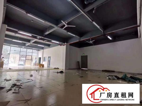  杨美地铁口新空出一楼440平适合仓库办公出租