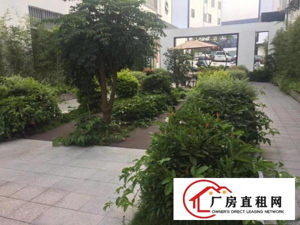  地铁站附近电商，办公65平，300平，350平，400平