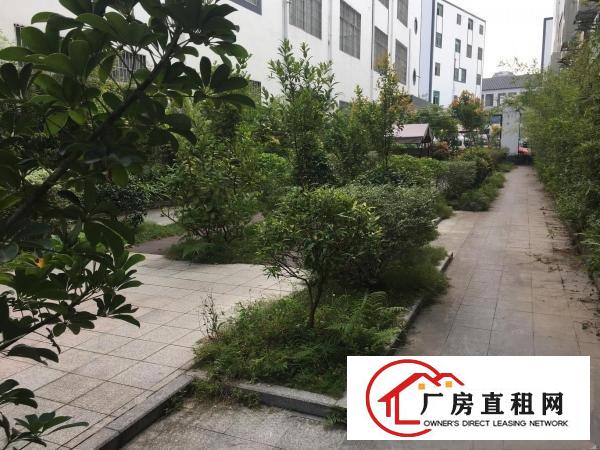  地铁站附近电商，办公65平，300平，350平，400平