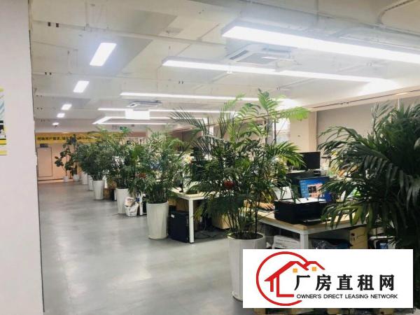  坂田五和地铁站旁整层1860平豪华装修办公室招租
