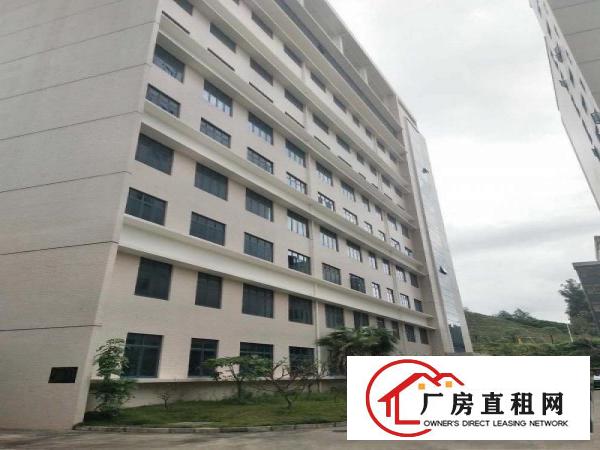  坂田原房东办公仓库1500平，全新地平漆，采光通透，可分租