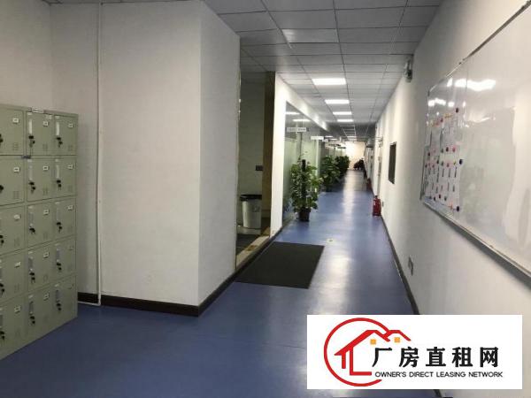 坂田原房东办公仓库1500平，全新地平漆，采光通透，可分租