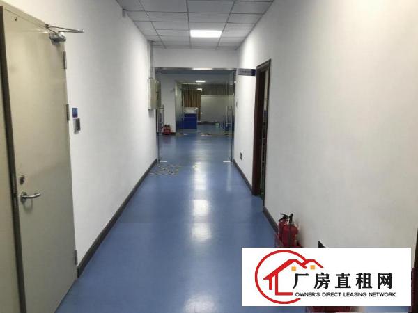  坂田原房东办公仓库1500平，全新地平漆，采光通透，可分租