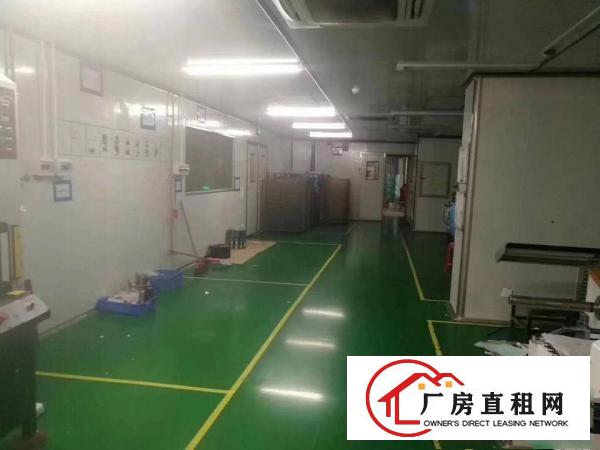  横岗六约沃尔玛附近新出楼上500平带精装修红本厂房出租