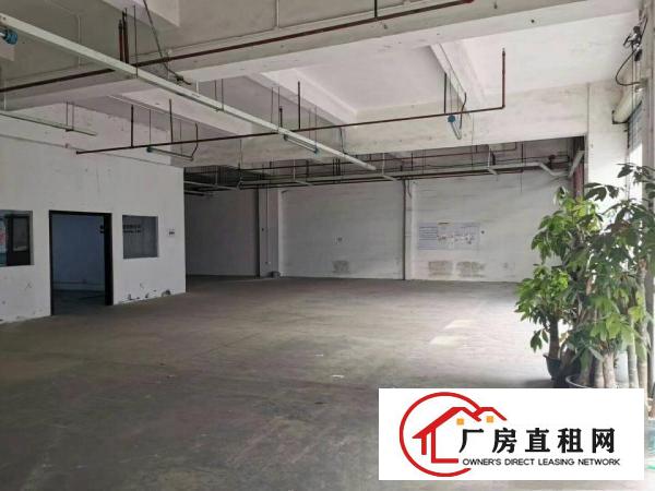  雪象花园一楼厂房360平700平，物流电商仓库实用率高