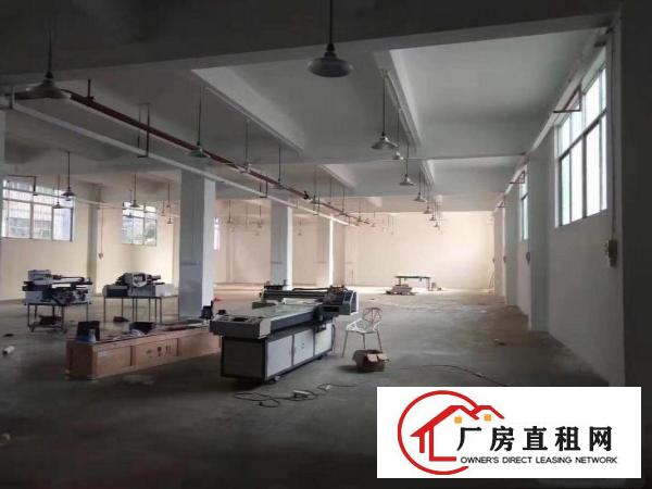  原业主直租一楼厂房物流仓库300平至1300平实用率高空地大