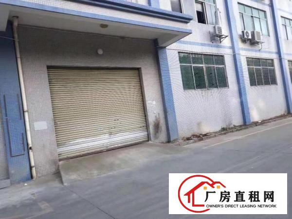  原业主直租一楼厂房物流仓库300平至1300平实用率高空地大