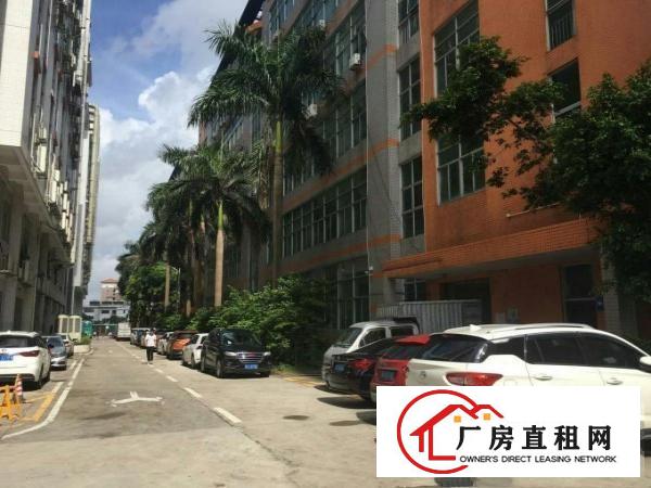  出租坂田吉华路80平138平168平，办公电商大小可分租