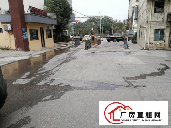  坂田吉华路一楼700平带卸货平台和装修厂房出租