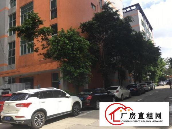  江灏科技园楼上330平带装修厂房，拎包入住，适合做电商