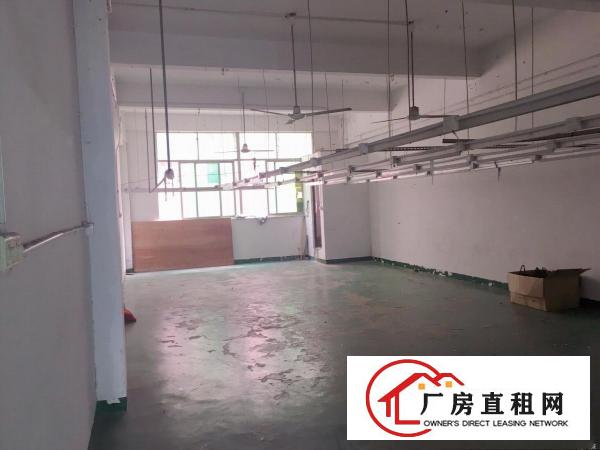  江灏科技园楼上330平带装修厂房，拎包入住，适合做电商