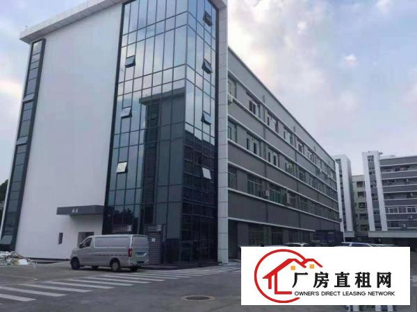  杨美地铁口电商园精装修办公厂房大小面积125平办公室仓库出租