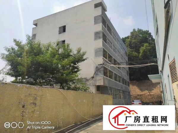 坂田杨美地铁站附近独栋独院15000平厂房招租