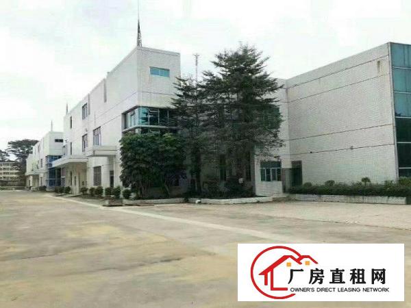  坂田新出厂房单层面积7000平方米，大小可分租