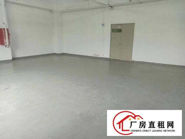  杨美地铁B出口300平米带装修厂房出租