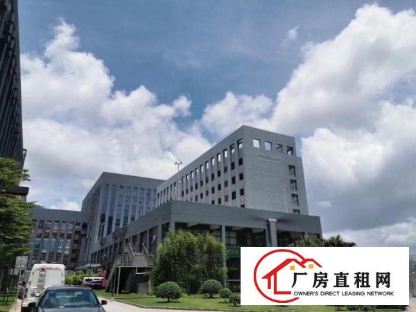  坂田精装办公室电商产业园拎包入驻