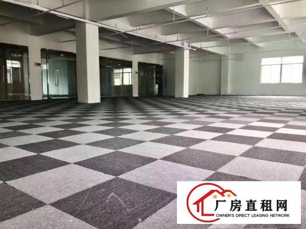  布龙路五和坂田杨美地铁站全新装修电商园120平起可分租