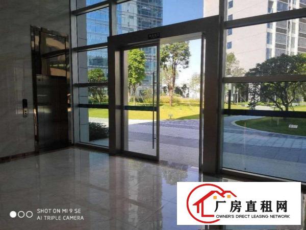  布吉丹竹头独栋2000平电商办公厂房出租，一层700平。