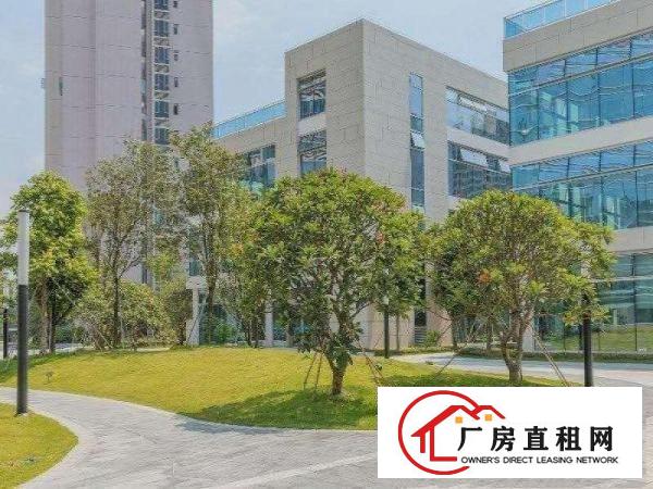  布吉丹竹头独栋2000平电商办公厂房出租，一层700平。