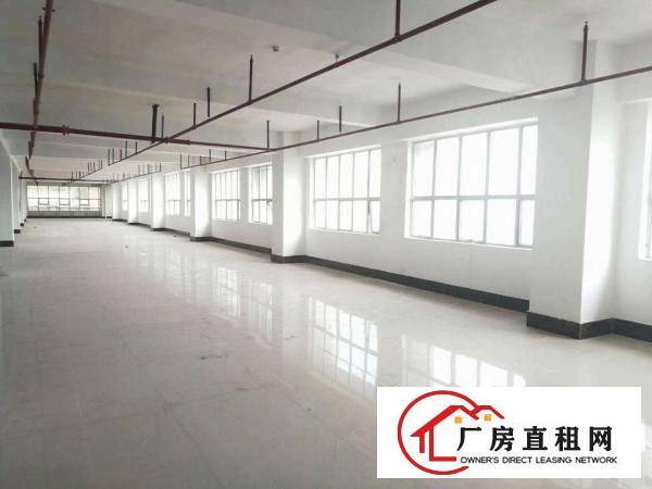  布吉丹竹头独栋2000平电商办公厂房出租，一层700平。