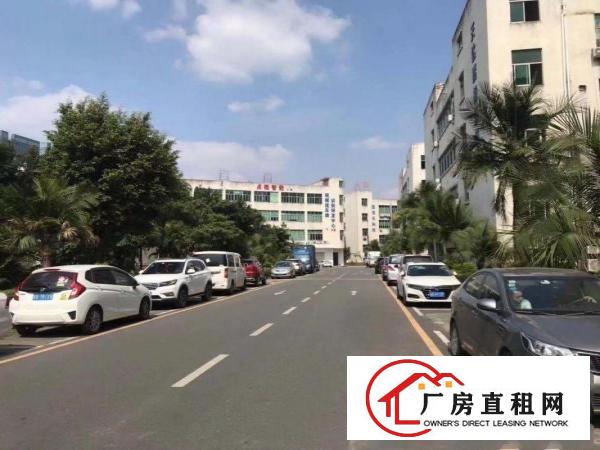  坂田亚洲工业区楼上408，436平带装修出租免佣