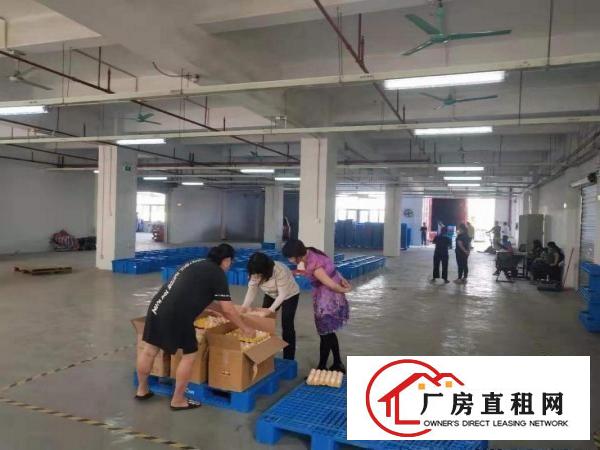  板田一楼360平1074平2714平水电齐全适合物流