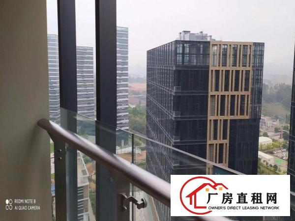  布吉精装修写字楼出租大小分租100起