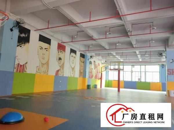  坂田天虹旁儿童篮球培训场地760平。可直接营业。