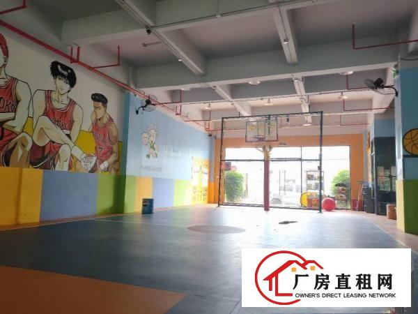  坂田天虹旁儿童篮球培训场地760平。可直接营业。