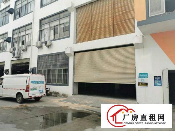  出租！坂田下雪300平1000平带装修物流仓库园