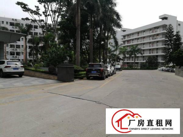  坂田上雪科技园原房东楼上2000平带装修直租，可分租