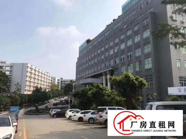  坂田上雪科技园原房东楼上2000平带装修直租，可分租
