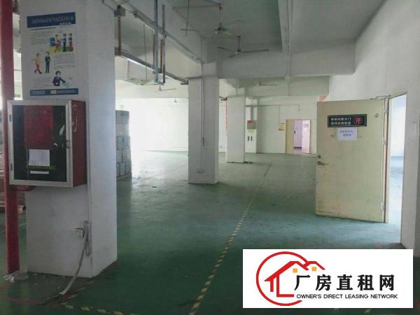  上雪科技园楼上200平500平1000平，电商外贸仓库等出租