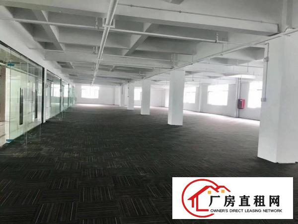  杨美地铁口电商园拎包办公厂房200平300平到1200平招租