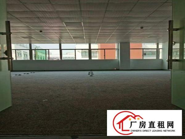  出租！坂田杨美100~2000平厂房，电商办公物流仓库