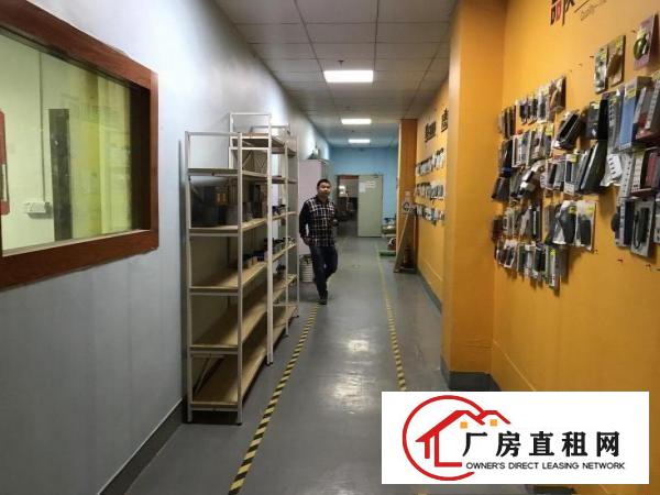  坂田稀有房源620平，不要再错过，实用率8.5层，