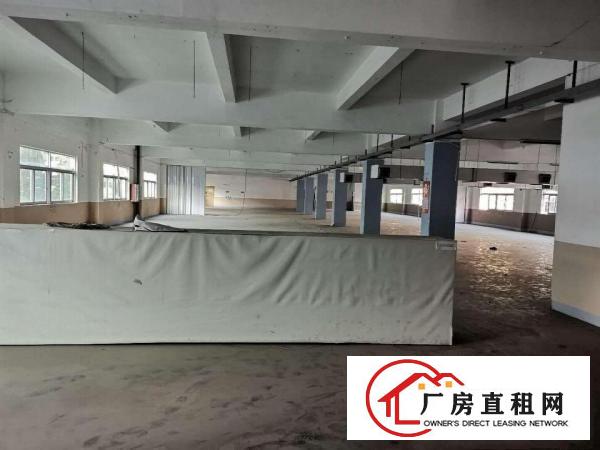  深圳龙岗宝龙工业区6652平米独院厂房出租，形像好，可以分租