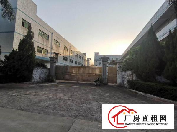  深圳龙岗宝龙工业区6652平米独院厂房出租，形像好，可以分租