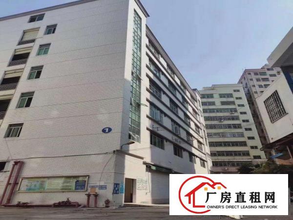  厂房出租坂田南坑新出独栋厂房6000平出租