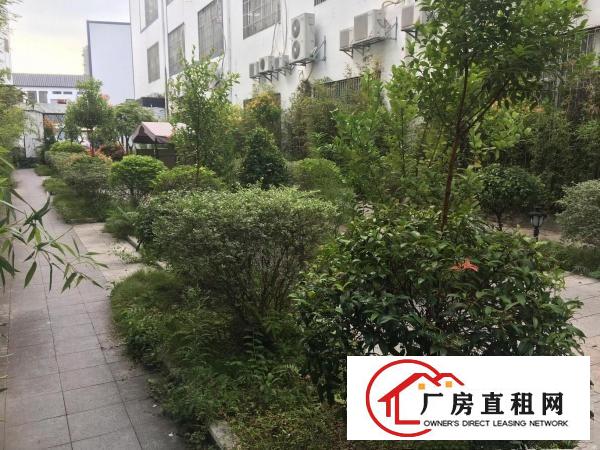  新鲜出炉，电商园内358平精装电商厂房出租，现成隔间