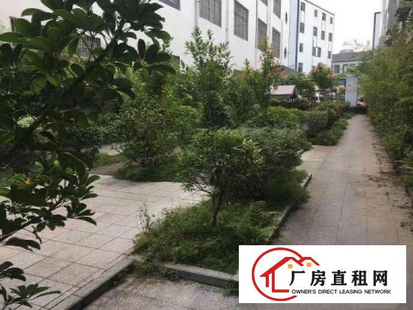  新鲜出炉，电商园内358平精装电商厂房出租，现成隔间