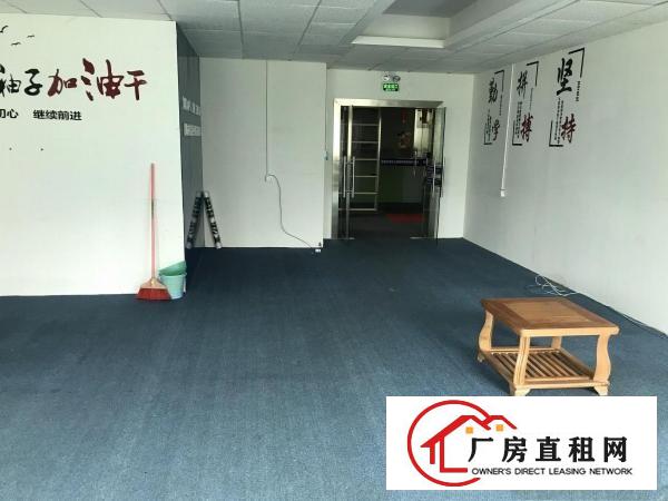  坂田经典迷你小户型，现成装修100平160平250平300平