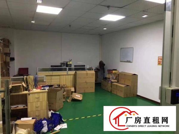  坂田原房东带装修厂房5楼730平方急租！