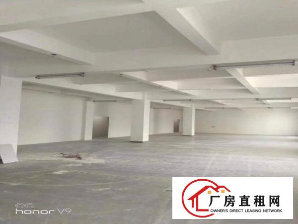  坂田带装修仓库，厂房出租200平500平1000平可分