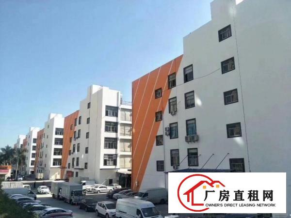 坂田带装修仓库，厂房出租200平500平1000平可分