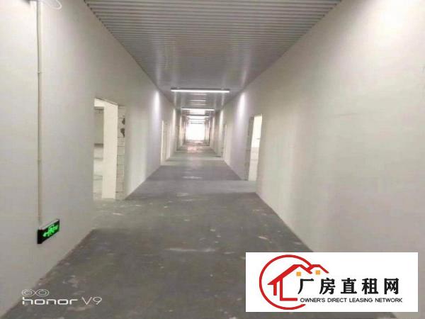  坂田带装修仓库，厂房出租200平500平1000平可分