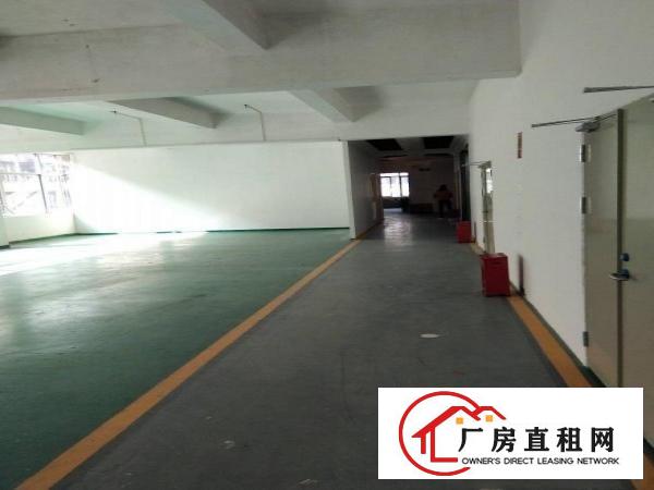  厂房仓库联创物业一手，大小自由组合