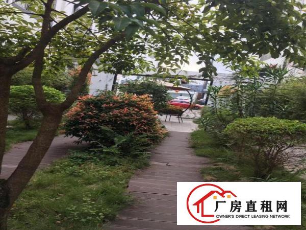  近地铁站电商，办公225平，268平，350平环境好